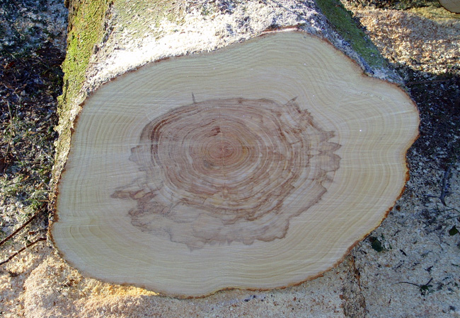 Impressionen Kunst S�ren Clausen